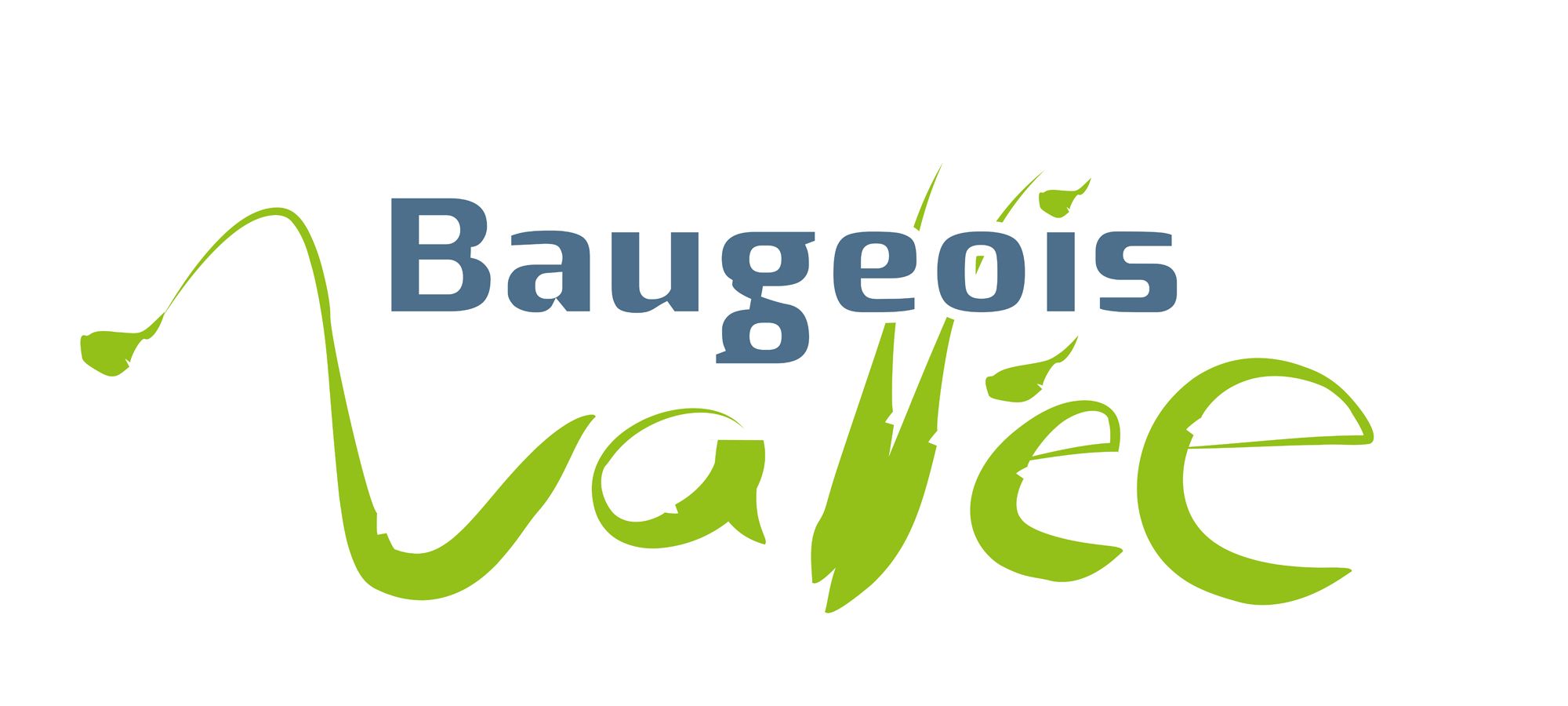 BV